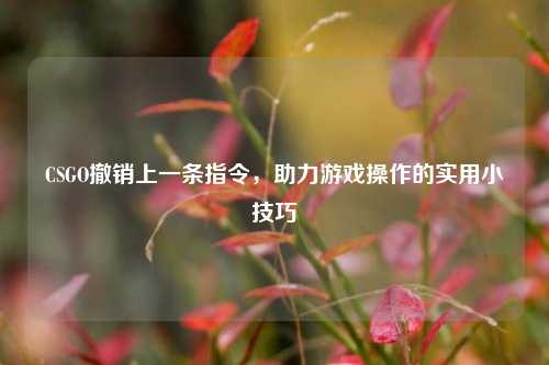 CSGO撤销上一条指令，助力游戏操作的实用小技巧