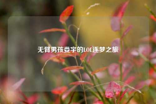 无臂男孩娄宇的LOL逐梦之旅