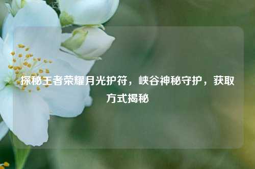 探秘王者荣耀月光护符,峡谷神秘守护,获取方式揭秘