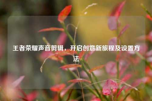 王者荣耀声音剪辑，开启创意新旅程及设置方法