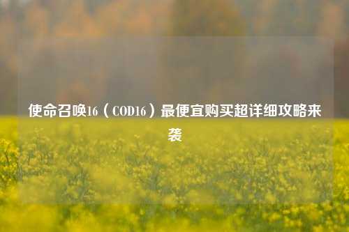 使命召唤16(COD16)最便宜购买超详细攻略来袭
