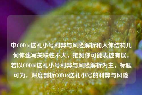 中COD16送礼小号利弊与风险解析和人体结构几何体速写关联性不大,推测你可能表述有误,若以COD16送礼小号利弊与风险解析为主,标题可为,深度剖析COD16送礼小号的利弊与风险