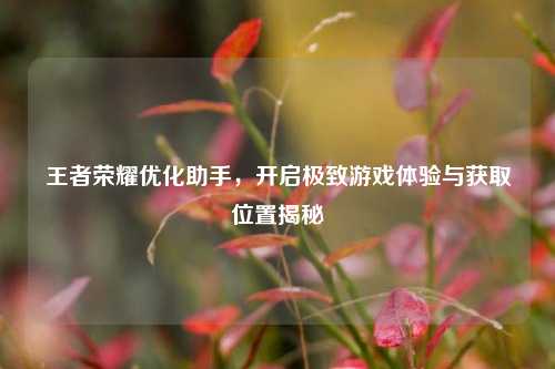 王者荣耀优化助手,开启极致游戏体验与获取位置揭秘
