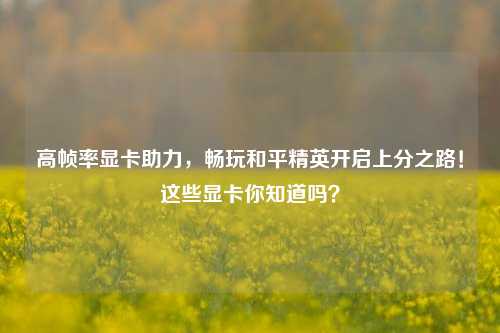高帧率显卡助力，畅玩和平精英开启上分之路！这些显卡你知道吗？