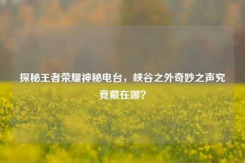 探秘王者荣耀神秘电台,峡谷之外奇妙之声究竟藏在哪?