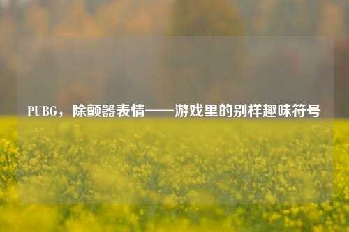 PUBG,除颤器表情——游戏里的别样趣味符号
