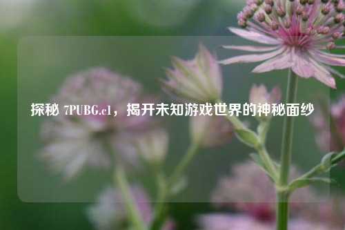 探秘 7PUBG.c1，揭开未知游戏世界的神秘面纱
