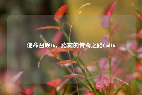 使命召唤16，路霸的传奇之路Cod16