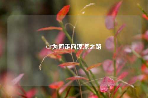 CF为何走向凉凉之路