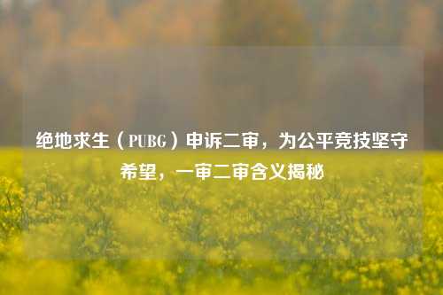 绝地求生（PUBG）申诉二审，为公平竞技坚守希望，一审二审含义揭秘
