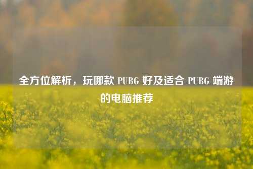 全方位解析,玩哪款 PUBG 好及适合 PUBG 端游的电脑推荐