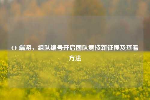 CF 端游,组队编号开启团队竞技新征程及查看方法