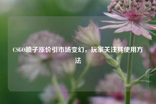 CSGO喷子涨价引市场变幻，玩家关注其使用方法