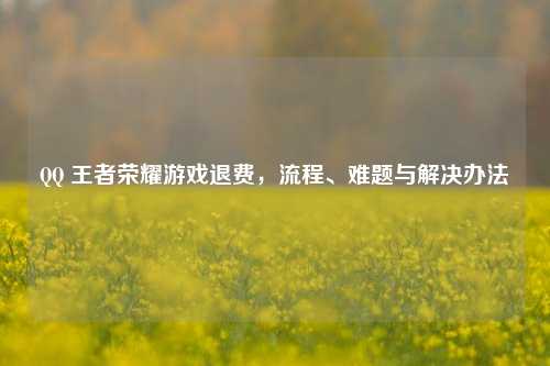 QQ 王者荣耀游戏退费，流程、难题与解决办法