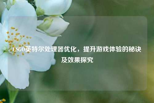 CSGO英特尔处理器优化，提升游戏体验的秘诀及效果探究