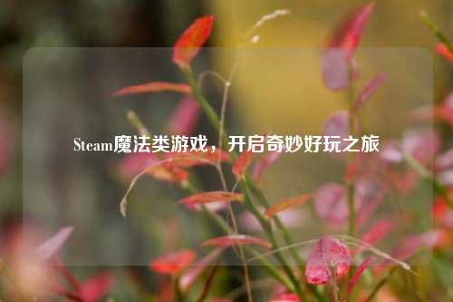 Steam魔法类游戏，开启奇妙好玩之旅