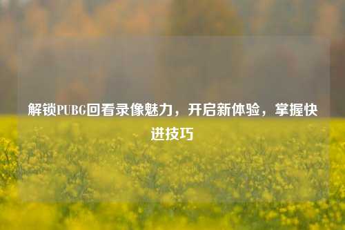 解锁PUBG回看录像魅力，开启新体验，掌握快进技巧