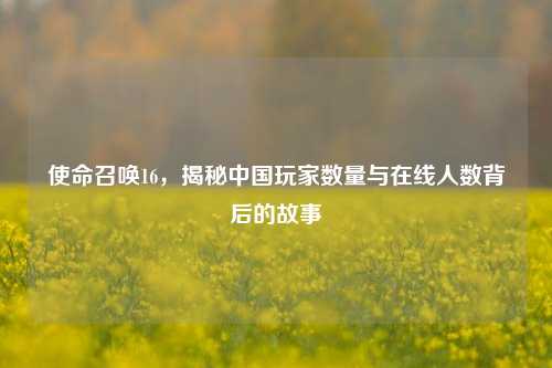 使命召唤16,揭秘中国玩家数量与在线人数背后的故事