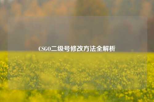 CSGO二级号修改方法全解析