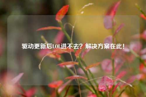 驱动更新后LOL进不去？解决方案在此！