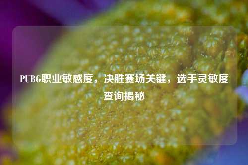 PUBG职业敏感度,决胜赛场关键,选手灵敏度查询揭秘