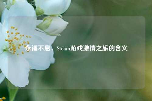 永锤不息,Steam游戏激情之旅的含义