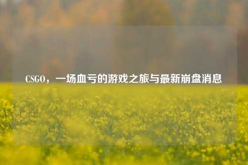 CSGO,一场血亏的游戏之旅与最新崩盘消息