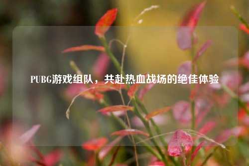 PUBG游戏组队，共赴热血战场的绝佳体验