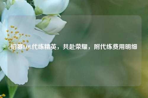 招募LOL代练精英,共赴荣耀,附代练费用明细