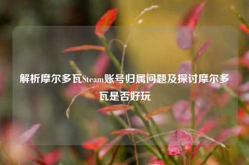 解析摩尔多瓦Steam账号归属问题及探讨摩尔多瓦是否好玩