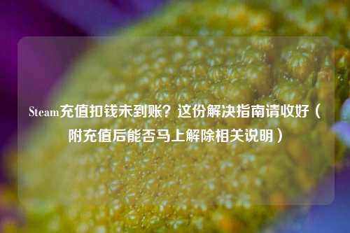 Steam充值扣钱未到账？这份解决指南请收好（附充值后能否马上解除相关说明）