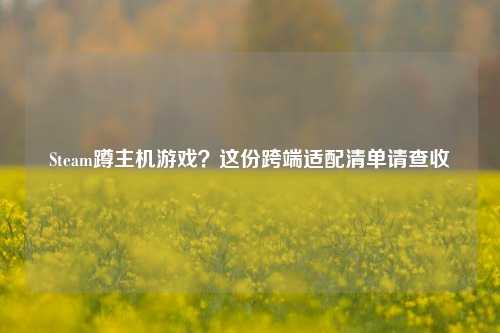 Steam蹲主机游戏？这份跨端适配清单请查收