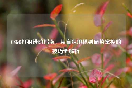 CSGO打狙进阶指南，从盲狙甩枪到局势掌控的技巧全解析